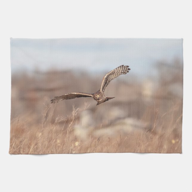 Paño De Cocina Harrier septentrional (Horizontal)