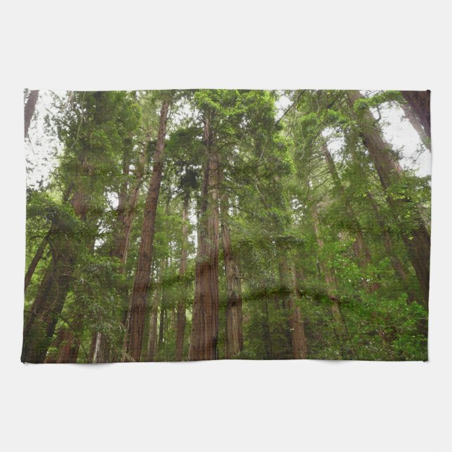 Paño De Cocina Hasta secuoyas en el Monumento Nacional Muir Woods (Horizontal)