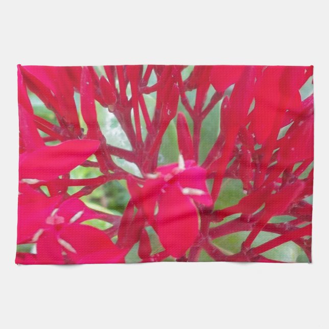 Paño De Cocina Hermosa Flor De Sangre Leve Arte Impresión/Gráfico (Horizontal)