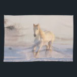 Paño De Cocina Hermosa Gallopaje de Caballo Blanco en la Nieve<br><div class="desc">Una toalla de cocina con una fotografía de un bello caballo blanco. Corriendo a través de un campo cubierto de nieve. Majestuoso y bonito.</div>
