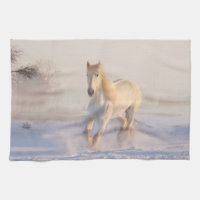 Hermosa Gallopaje de Caballo Blanco en la Nieve