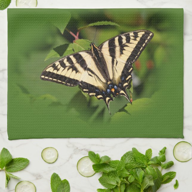 Paño De Cocina Hermosa mariposa de cola cruda de tigre occidental (Doblado)