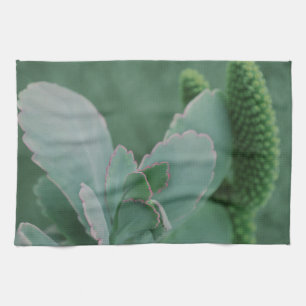 Paño De Cocina Hermosa Planta Desierta Fotografía de Arte