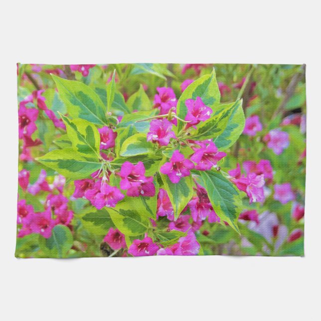 Paño De Cocina Hermosa Weigela verde con flores de Crimson (Horizontal)