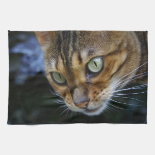 Paño De Cocina Hermoso gato bengalí