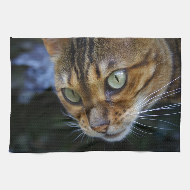Paño De Cocina Hermoso gato bengalí (Horizontal)