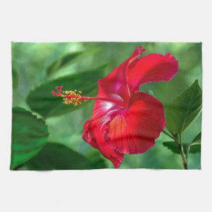 Paño De Cocina Hibiscus Blossom