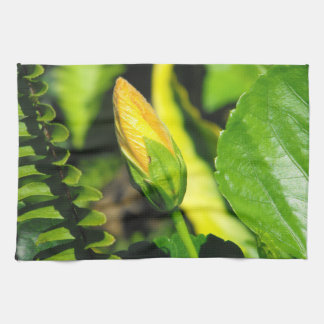 Paño De Cocina Hibiscus Flower Bud