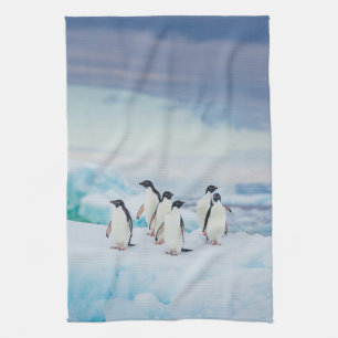 Paño De Cocina Hielo y nieve   Adelie Penguins Antártida