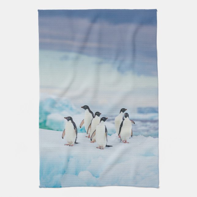 Paño De Cocina Hielo y nieve | Adelie Penguins Antártida (Vertical)