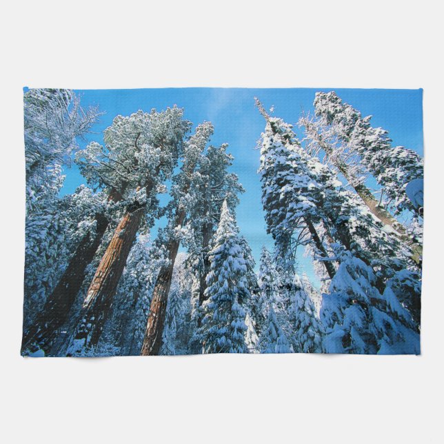 Paño De Cocina Hielo y nieve | Parque nacional Sequoia, Californi (Horizontal)