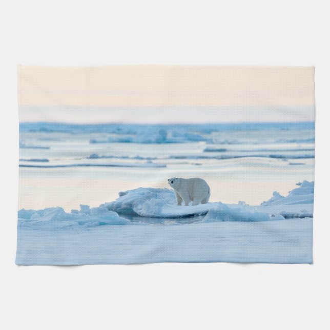 Paño De Cocina Hielo y nieve | Polar Bear Iceberg Noruega (Horizontal)