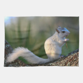 Paño De Cocina ¡Hora de bailar!