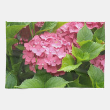 Hortensias Rosa Profundo