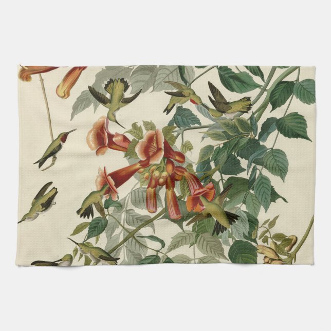 Paño De Cocina Hummingbird Ruby Throated Audubon (Horizontal)