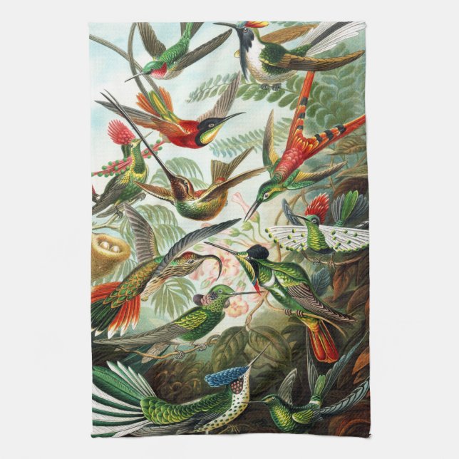 Paño De Cocina Hummingbirds por Ernst Haeckel (Vertical)