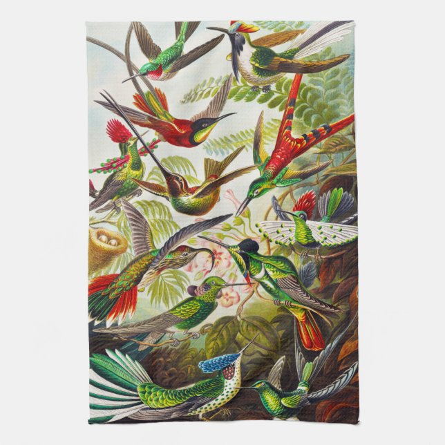 Paño De Cocina Hummingbirds por Ernst Haeckel (Vertical)