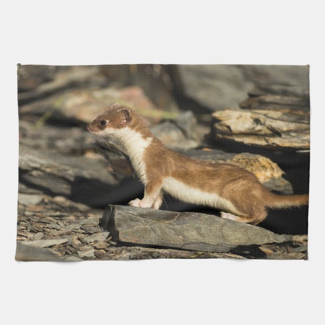 Paño De Cocina Hunting Weasel (Horizontal)
