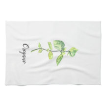 Ilustracion acuático de la hierba de Oregano