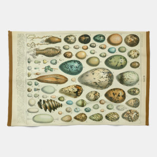 Paño De Cocina Ilustración antigua de historia natural de huevos 