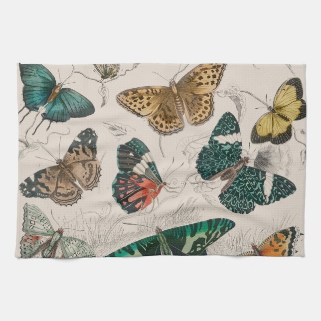 Paño De Cocina Ilustración antigua de mariposa: Orfebre de 1820 (Horizontal)