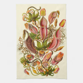 Paño De Cocina Ilustración botánica de la planta jarra de Haeckel
