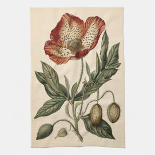 Paño De Cocina Ilustracion botánico de amapola de época