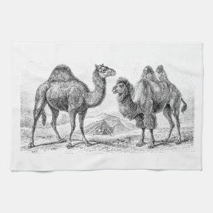 Paño De Cocina Ilustracion del camello del vintage - camellos