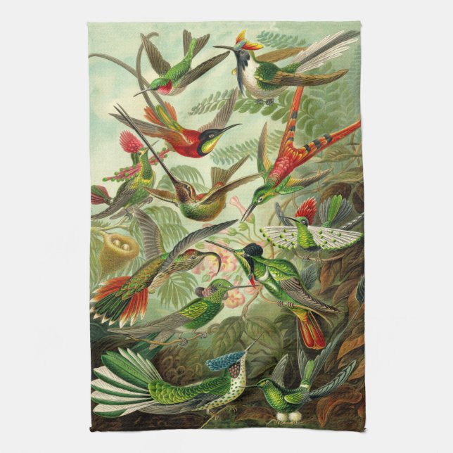 Paño De Cocina Ilustracion del colibrí de Ernst Haeckel (Vertical)