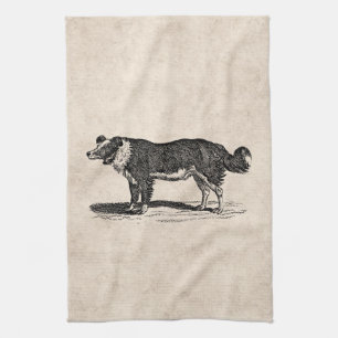 Paño De Cocina Ilustracion del perro del border collie de los