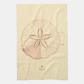 Paño De Cocina Ilustracion Sand Dollar Beach