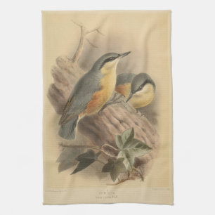 Paño De Cocina Ilustracion vintage de Nuthatch