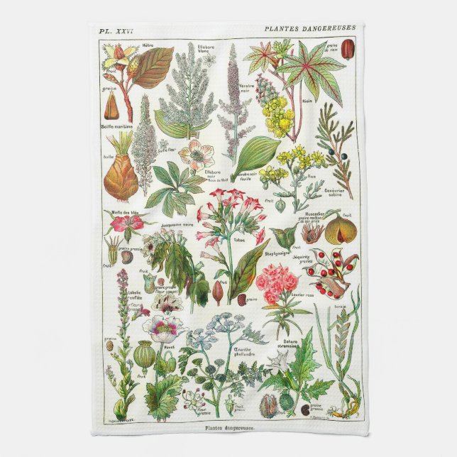 Paño De Cocina Ilustraciones botánicos - plantas de Larousse (Vertical)