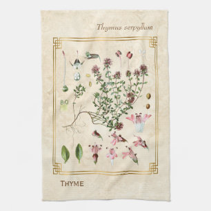 Paño De Cocina Ilustraciones de hierbas aromáticas silvestres Th
