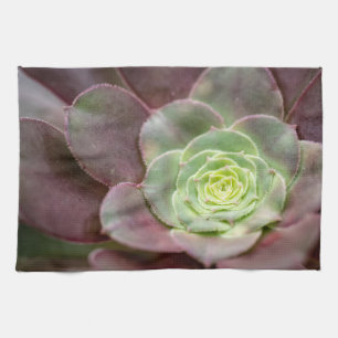 Paño De Cocina Impresión de cactus   Una Flor De Cactus Del Desie