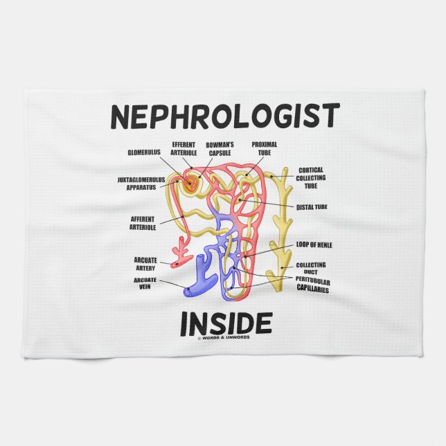 Paño De Cocina Interior del nefrólogo (riñón Nephron) (Horizontal)
