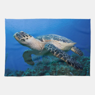Paño De Cocina Islas Caimán, Little Cayman Island, Bajo el agua 2