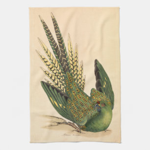 Paño De Cocina James Sowerby Ground Parrot, Psittacus terrestres