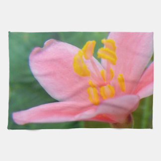 Paño De Cocina Jatropha Flower Closeup