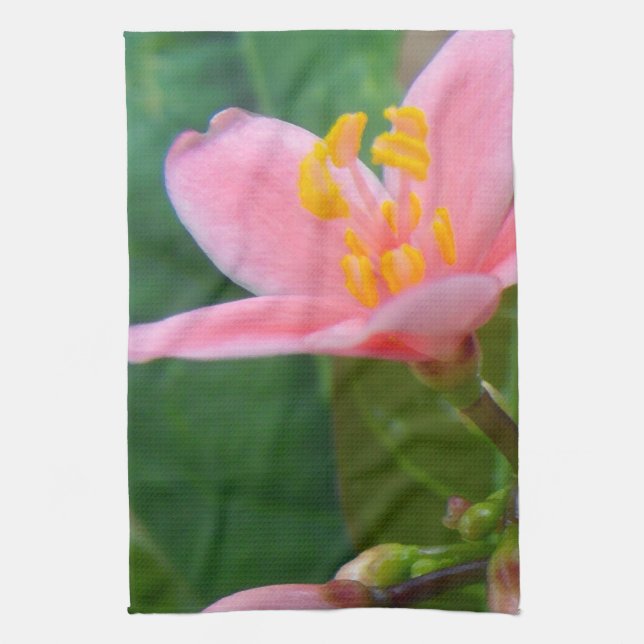 Paño De Cocina Jatropha Flower Closeup (Vertical)