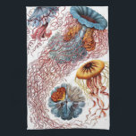 Paño De Cocina Jellyfish vintage por Ernst Haeckel, Discomedusae<br><div class="desc">Diseño de biología de la vida marina de ilustracion vintage de Ernst Haeckel. Una gran variedad de medusas coloridas nadando en las aguas del mar. Los peces gelatina son animales acuáticos de natación gratuitos con un cuerpo en forma de paraguas y largos tentáculos de arrastre. Se pueden encontrar en todos...</div>