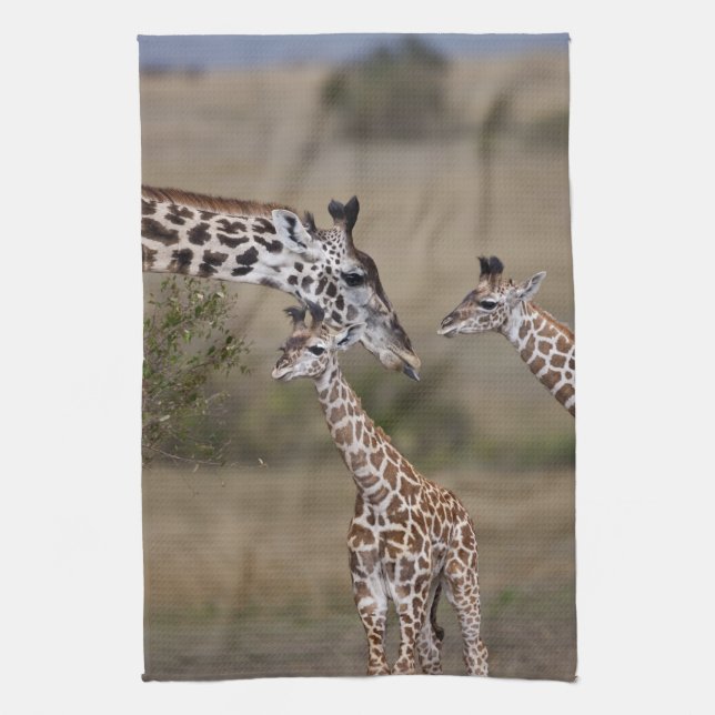 Paño De Cocina Jirafa Masái (Giraffa tippelskirchi) (Vertical)