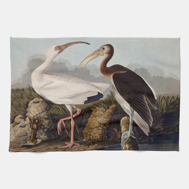 Paño De Cocina John James Audubon White Ibis Bird Print Classic (Horizontal)