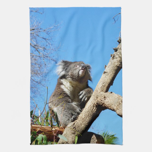 Paño De Cocina Koala Tiene Tiempo Para Reflexionar Sobre La Vida, (Vertical)