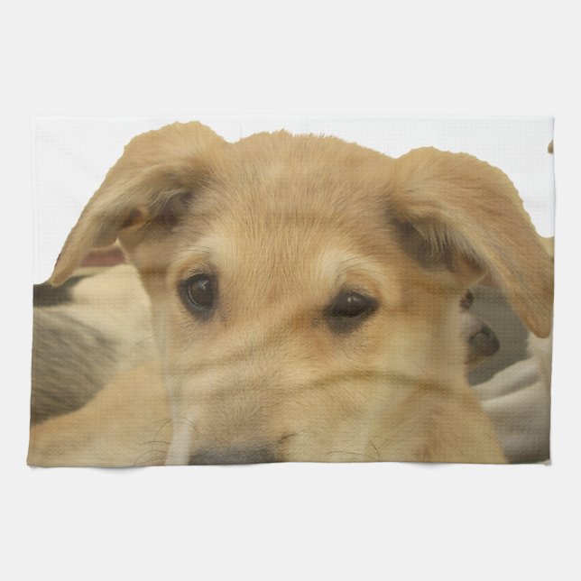 Paño De Cocina "La vida es la escuela más dura" (Horizontal)