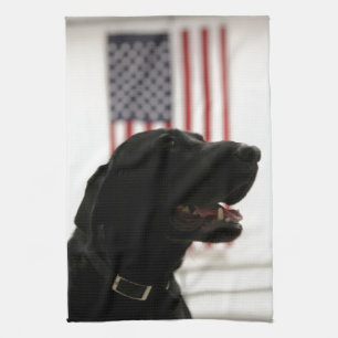 Paño De Cocina Labrador retriever negro Todo-Americano