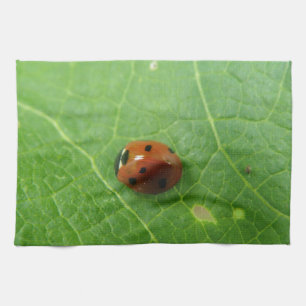 Paño De Cocina Ladybug Kitchen Towel