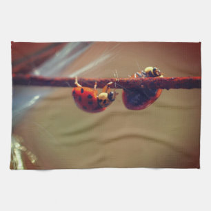 Paño De Cocina Ladybugs Balancing Close 