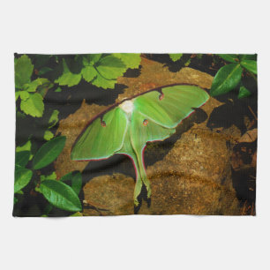 Paño De Cocina Lágrima luna verde gigante