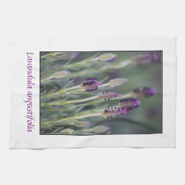 Paño De Cocina Lavanda en la floración